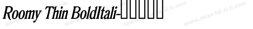 Roomy Thin BoldItali字体转换